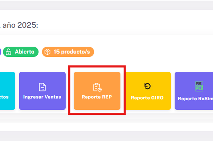 Paso 3: Reporte Final en REPSimple